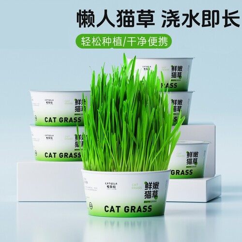 宠奇拉懒人泡面猫草杯