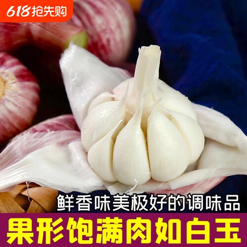 新鲜大蒜蒜头多瓣农家自种现挖现