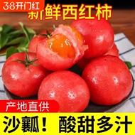 新鲜番茄西红柿品质果当季水果现摘酸甜生吃西红柿番茄蔬菜包邮