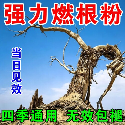 枯i死i专用药正品通用型杂草专用竹子腐燃根王腐蚀剂树园艺肥料F