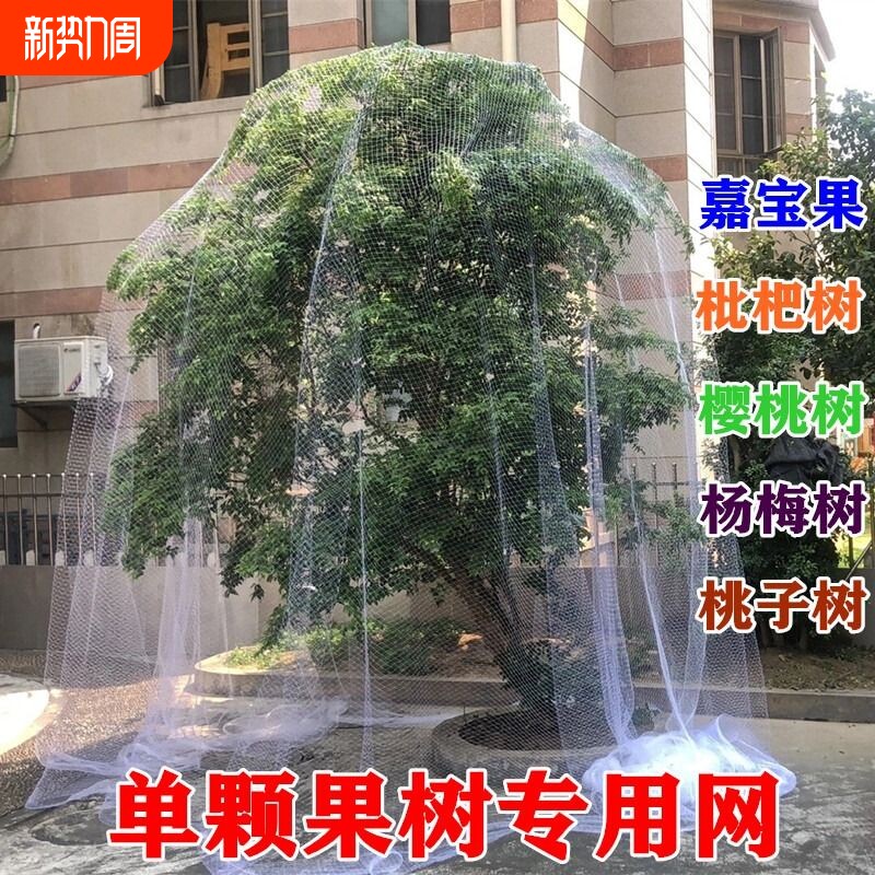 果园防鸟网防鸟罩桃树嘉宝果尼龙网果树葡萄防鸟护网杨梅桃子樱桃
