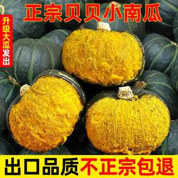 供品质贝贝小南瓜新鲜板栗味老南瓜正宗甜粉糯南瓜水果蔬菜早餐实付6.9元到手包邮 供品质贝贝小南瓜新鲜板栗味老南瓜正宗甜粉糯南瓜水果蔬菜早餐实付6.9元到手包邮