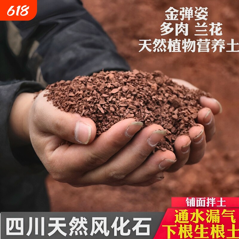 四川天然风化石颗粒金弹子专用土种植营养土多肉兰花盆景生根土壤