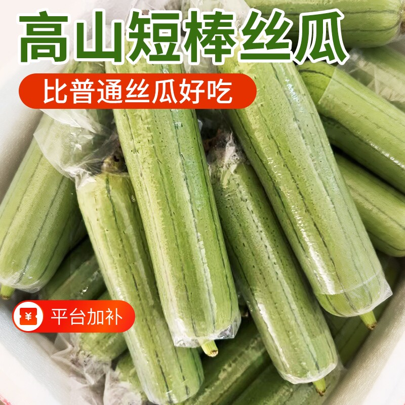 新鲜现采短棒肉丝瓜农家自种产地直供应季新鲜蔬菜批发包邮旗舰店