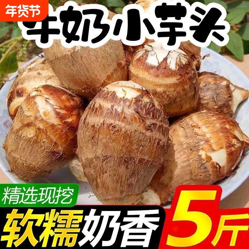 芋头山东毛牛奶芋头新鲜现挖农家香芋粉糯香甜小芋头蔬菜当季软糯