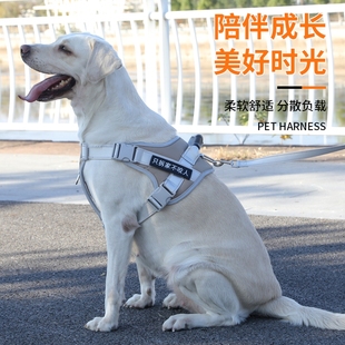 拉布拉多狗链子中大型犬金毛狗狗牵引绳子 宠物胸背带防爆冲背心式
