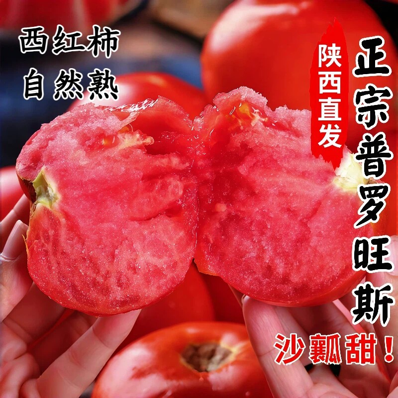正宗陕西泾阳普罗旺斯西红柿自然熟新鲜水果当季沙瓤生吃番茄蔬菜
