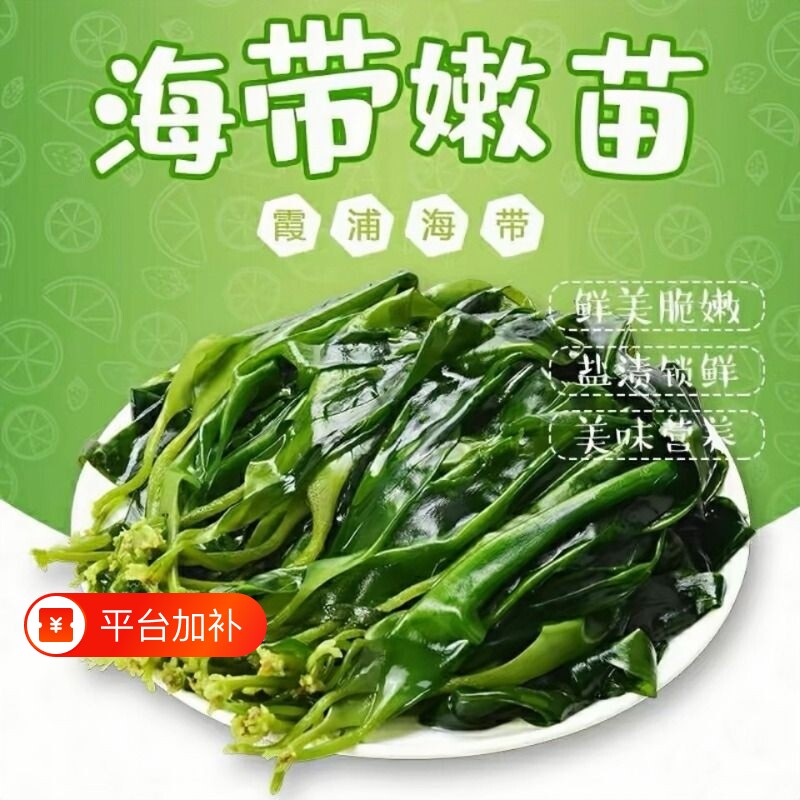 火锅食材海带苗特级新鲜海带苗裙带菜苗霞浦盐渍凉拌菜商用批发