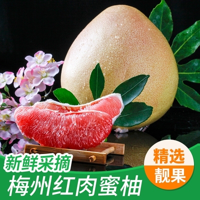 三红蜜柚碧香妃柚子梅州正宗当季孕妇水果果肉鲜甜小柚品种红柚