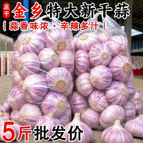 精选山东紫白皮大蒜头新干蒜大果