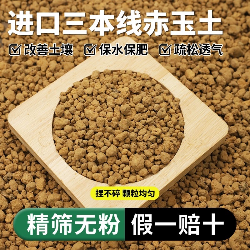 进口赤玉土三本线正品日本原装多肉颗粒土盆景专用铺面硬质营养土,鲜花速递/花卉仿真/绿植园艺,介质/营养土,淘宝优惠券,粉丝福利购,淘宝优惠卷