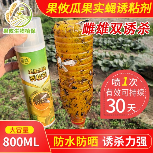 果攸诱粘剂诱虫瓶瓜果实蝇粘虫板