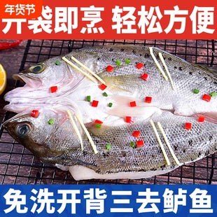 龙霸酒香三去海鲈鱼即烹开背新鲜冷冻海鲜食材生鲜水产整条年货节