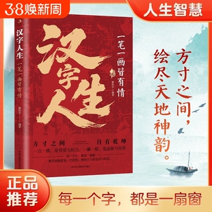 正版速发汉字人生一笔一画皆有情里的智慧哲学国学文字的中国故事每一个字都是一扇窗书籍J文化天成经典