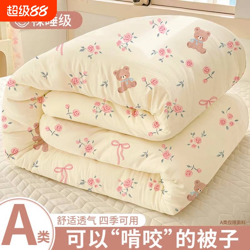 【柔软保暖！】A类被子四季通用
