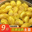 土豆25年正宗甘肃定西沙面新鲜小高山黄心洋芋粉面5斤9斤 包邮