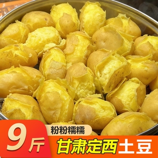甘肃定西沙面土豆25年正宗新鲜小高山黄心洋芋粉面5斤9斤包邮自种