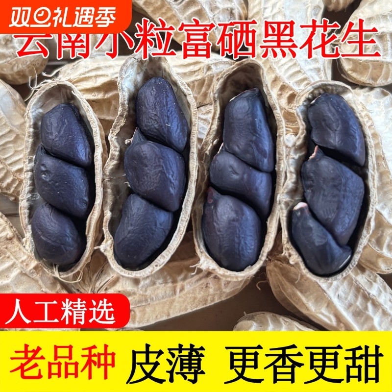 云南富硒黑花生带壳晒干黑花生新货黑花生仁精选黑皮花生米5斤