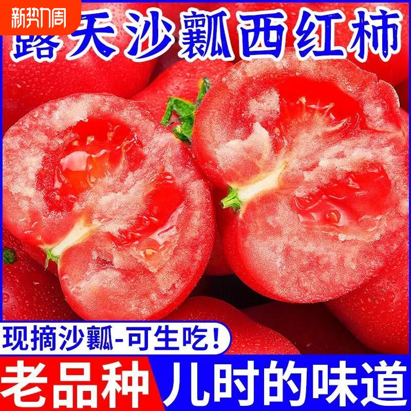 老品种云南露天沙瓤西红柿现摘番茄可生吃无催熟当季儿童老人蔬菜