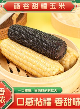 黑玉米东北现摘新鲜糯黄玉米真空装包装袋早餐代餐甜糯