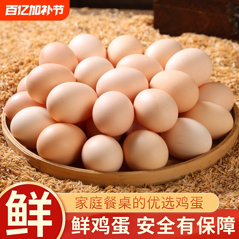 新鲜鸡蛋初生鸡蛋鲜鸡蛋山林谷物鸡蛋草鸡蛋早餐营养鸡蛋