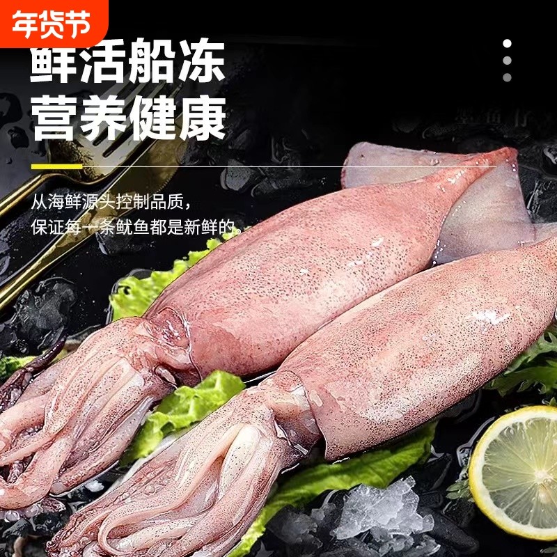 大鱿鱼新鲜冷冻新鲜枪乌贼冷冻海鲜水产烧烤食材原料生鲜鱿鱼冷冻