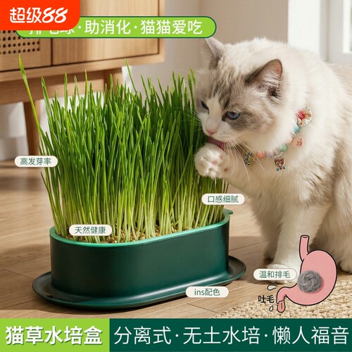 猫草盆栽种籽育苗盘懒人种植