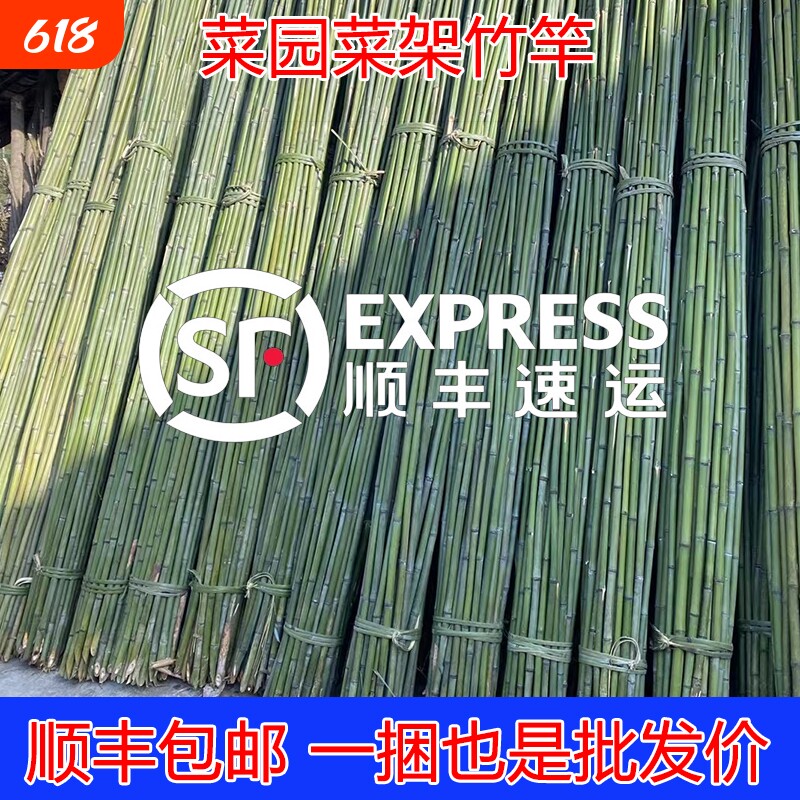 菜园搭架竹竿豆角黄瓜爬藤架园艺篱笆围栏竹竿手工爬藤架户外竹子