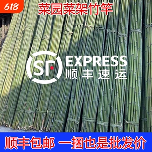 菜园搭架竹竿豆角黄瓜爬藤架园艺篱笆围栏竹竿手工爬藤架户外竹子