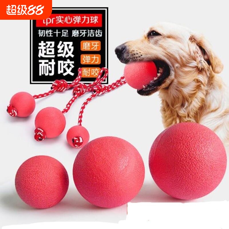 狗狗玩具磨牙耐咬弹力球实心球拉布拉多解闷橡胶球用大型犬幼犬