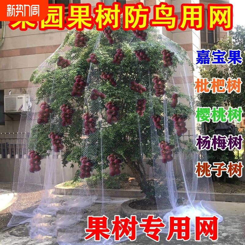 2.0防鸟网果树果园防护网阳台鱼塘樱桃树葡萄树泥鳅养殖网杨梅