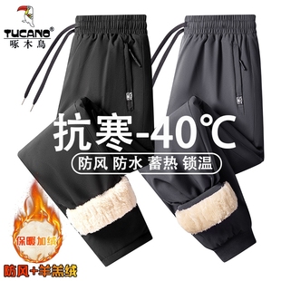 男款 外穿防风东北羊羔绒裤 冬季 冲锋裤 子男 加绒加厚男士 啄木鸟棉裤