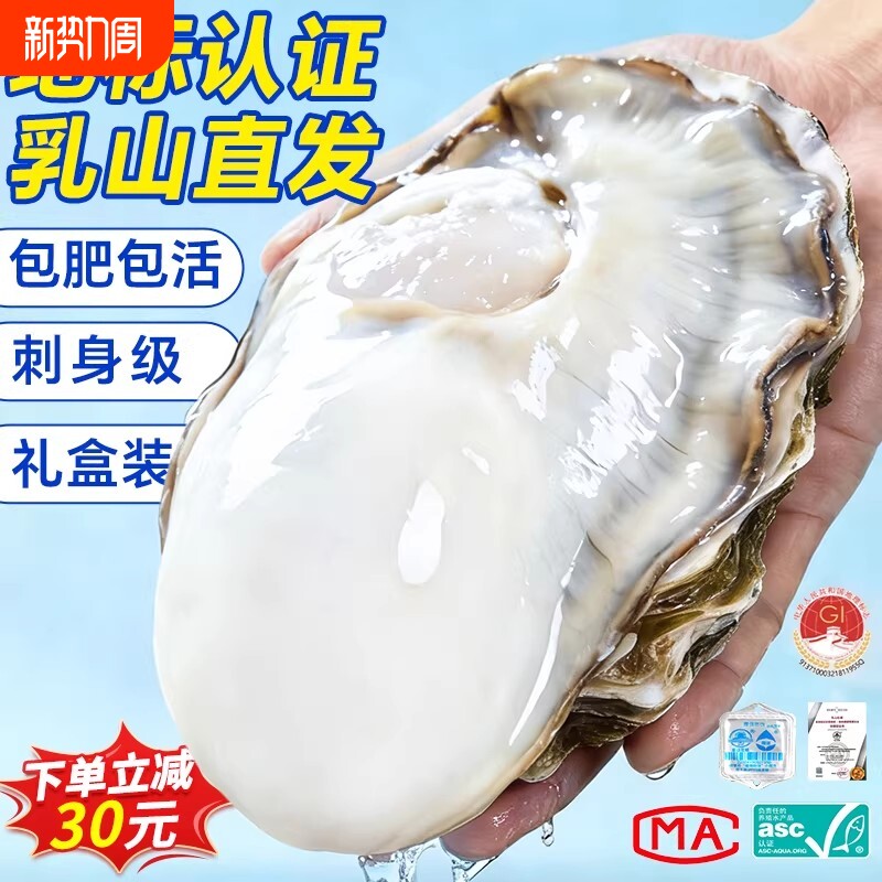 乳山生蚝鲜活10斤牡蛎海蛎子特大整箱批发5斤海鲜礼盒 官方旗舰店