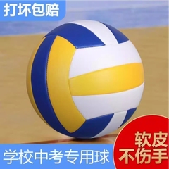 排球初中生中考专用标准款小学生5号球软式硬排比赛体育考试训练