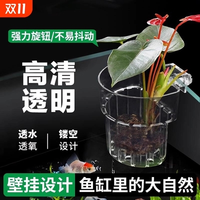 水培植物定植篮壁挂式固定神器