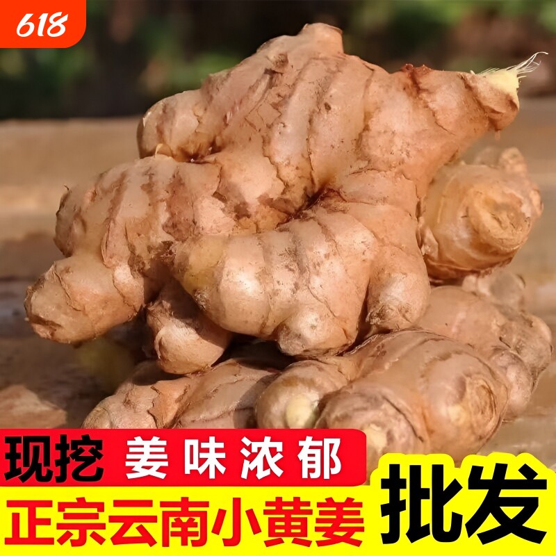正宗云南新鲜小黄姜生姜仔姜当季新姜泡姜鲜姜农家种植现挖现发