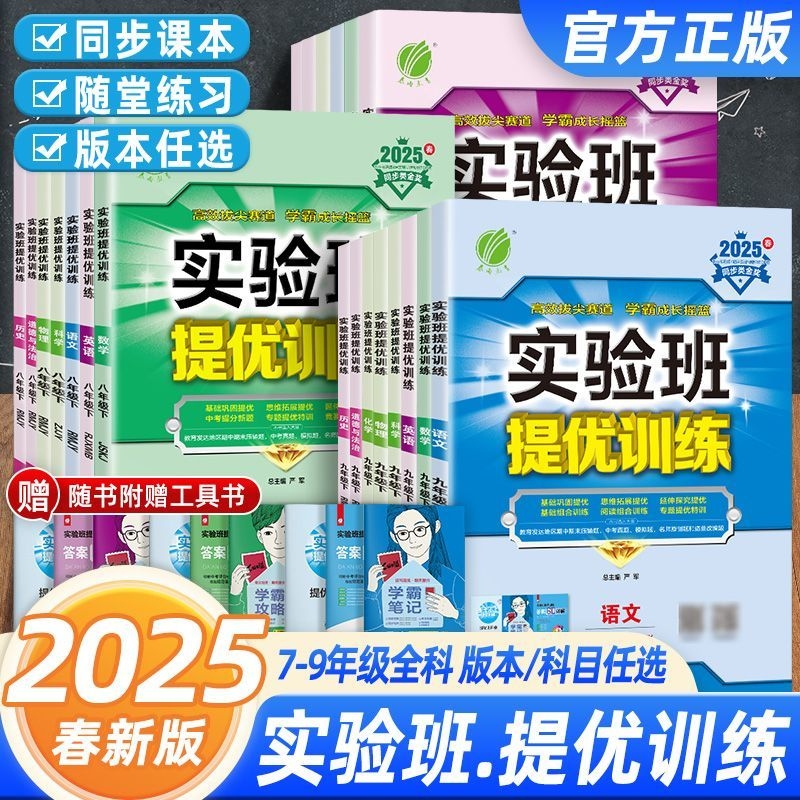 初中实验班提优训练同步练习