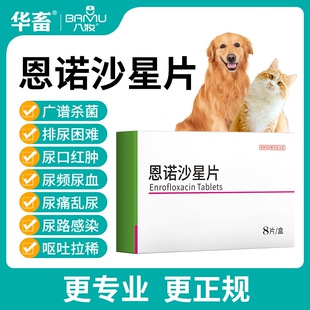 恩诺沙星猫用狗用泌尿系统药尿路感染消炎药片利尿通猫尿频膀胱