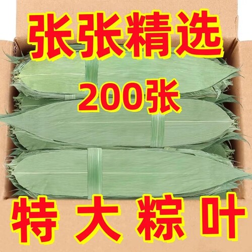 端午节包粽子专用粽叶粽子叶新鲜特大号干棕叶官方旗舰店无硫叶子