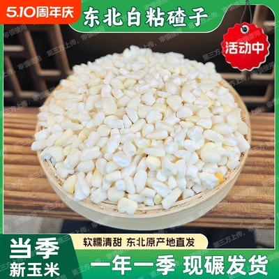 甜糯白玉米碴子大渣子包谷糁农家五谷杂粮白色糯玉米白糯中粒散装