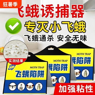 飞蛾诱捕器小飞虫陷阱衣蛾面板诱灭神器厕所杀虫剂蚋蠓室内除虫