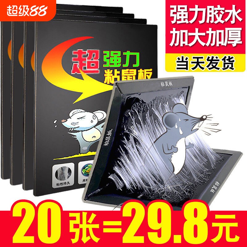 老鼠粘贴强力粘鼠板灭鼠胶粘大老鼠抓老鼠夹子家用扑捉器捕鼠神器