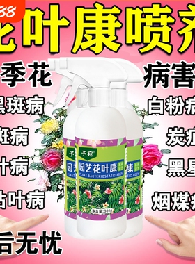 花叶康喷剂月季花病虫害常用药植物花卉叶斑黑斑白粉叶康灵喷雾剂