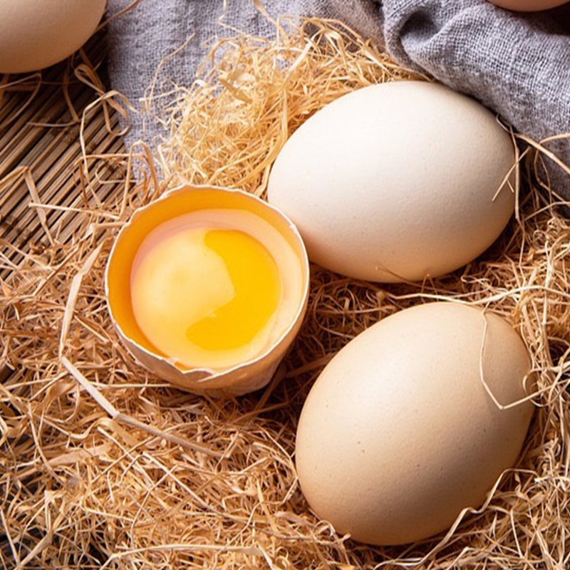 10枚农家散养土鸡蛋正宗笨鸡蛋新鲜谷物蛋月子营养美味鸡蛋