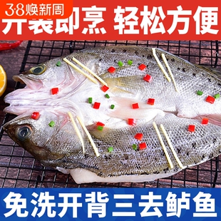 龙霸酒香三去海鲈鱼即烹开背新鲜冷冻海鲜食材生鲜水产整条年货节