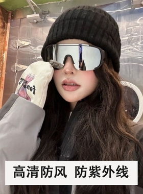 户外大框骑行眼镜滑雪镜防风镜登山摩托车自行车护目镜太阳镜墨镜