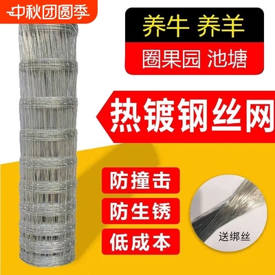 牛拦网养殖围栏钢丝网