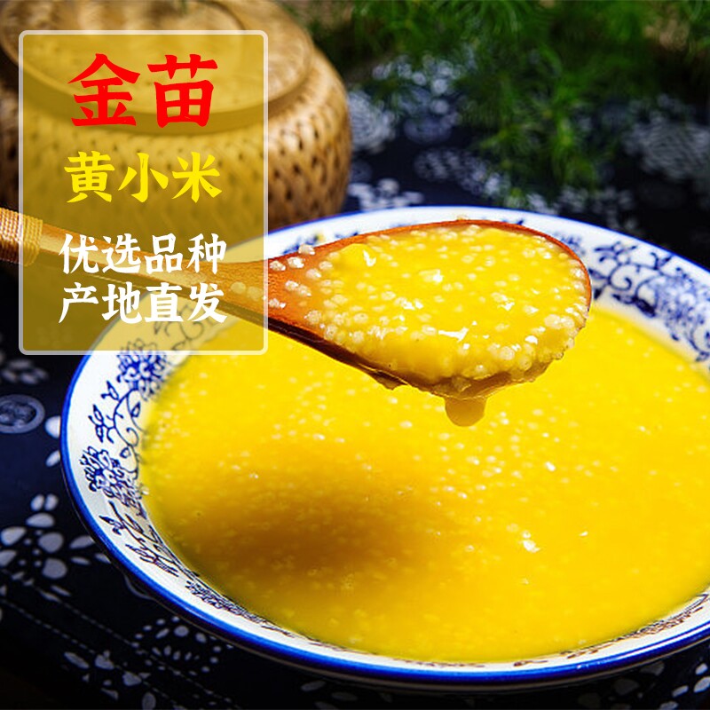 内蒙古赤峰优质黄金苗一级小米新鲜婴儿五谷杂粮养胃辅食用糯粥
