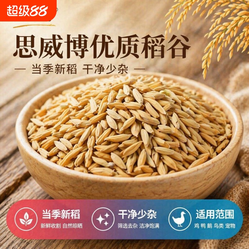 26年优质稻谷喂鸡鸭鹅鹦鹉鸽子养殖清仓便宜批发农家稻谷带壳稻谷