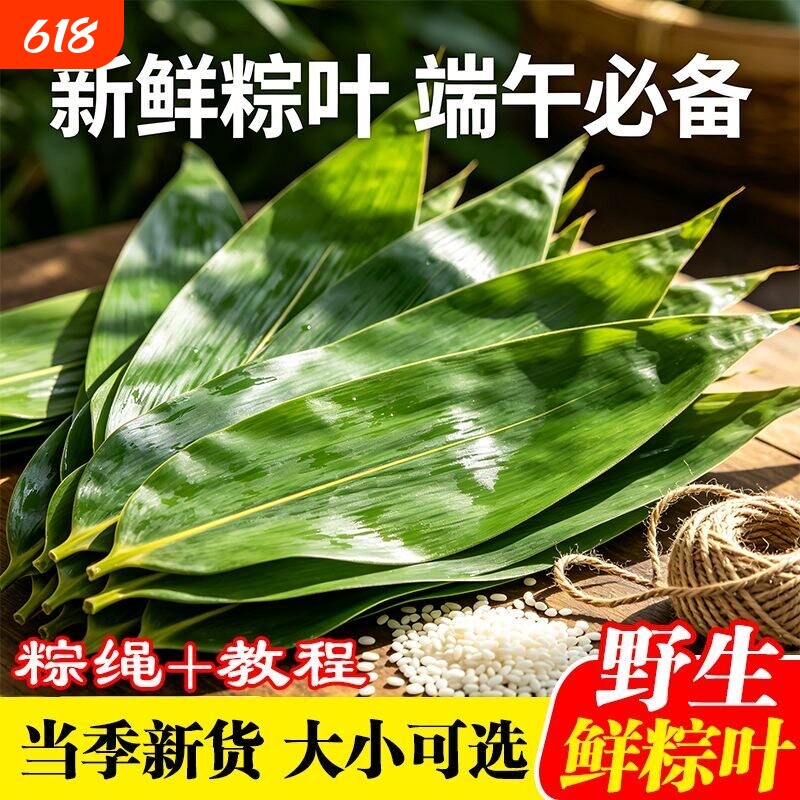 粽叶新鲜粽子叶端午大号粽叶包粽子专用芦苇粽叶野生粽叶干商用